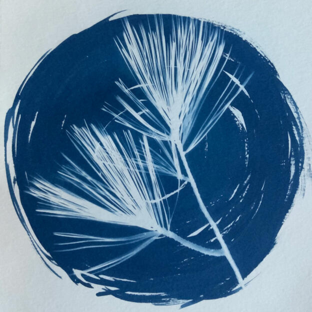 flooded-pine-press