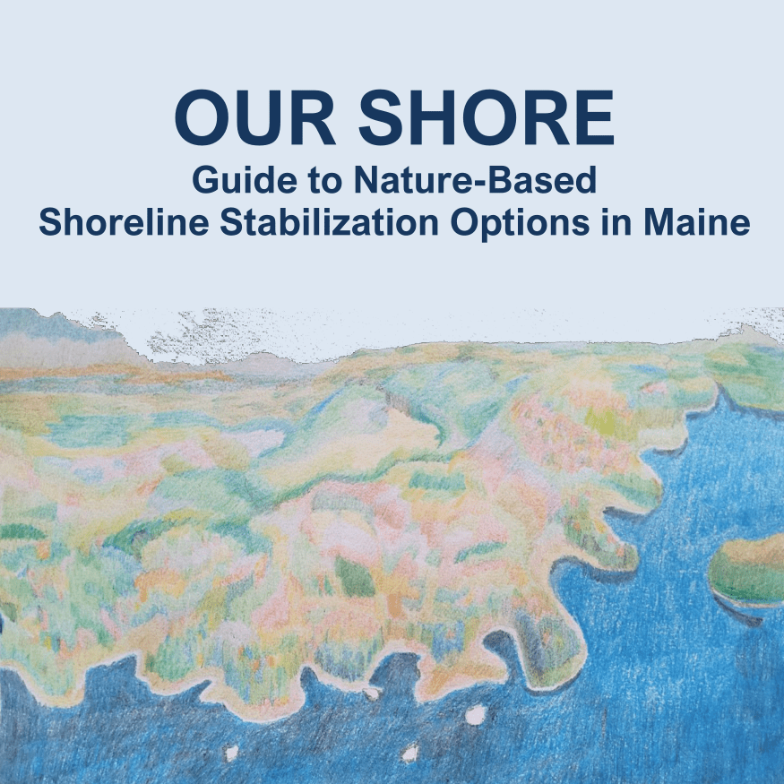MaineDEP-OURSHORE