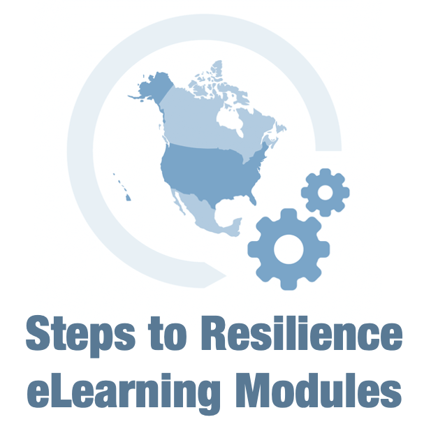 csci-steps-to-resilience-course